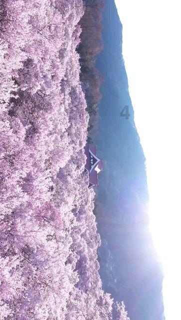 公告牌音乐奖