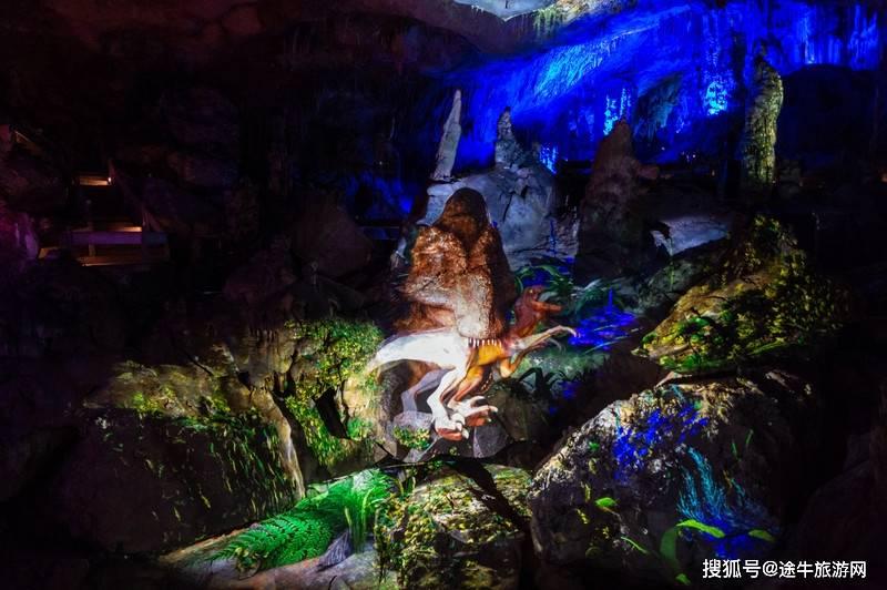 探秘冷知识平台臭氧层是地球上人类和其他生物的“保护伞”吗?,畅享独特知识饕餮盛宴